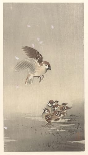 PMEFGJDPE Bekannt Poster Kunstdrucke Porträts Wandkunst Falke auf verschneitem Kiefernzweig von Ohara Koson Leinwand Ölgemälde für Heimtextilien 60x90cm PMEFGJDPE Bekannt Poster Kunstdrucke Porträts Wandkunst Falke auf verschneitem Kiefernzweig von Ohara Koson Leinwand Ölgemälde für Heimtextilien 60x90cm von PMEFGJDPE