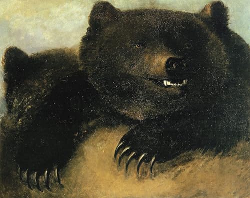 PMEFGJDPE Bekannt Poster Kunstdrucke Porträts Wandkunst Waffen und Physiognomie des Grizzly-Tiers von George Catlin Leinwand Ölgemälde für Heimtextilien 60x90cm von PMEFGJDPE