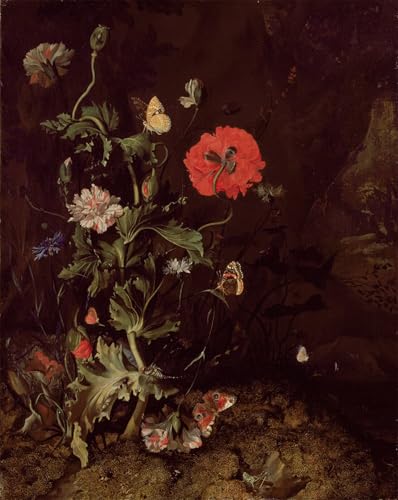 PMEFGJDPE Bekannt Poster Kunstdrucke Porträts Wandkunst Waldbodenstillleben mit Blumen und Schmetterlingen von Ruysch Leinwand Ölgemälde für Heimtextilien 60x90cm PMEFGJDPE Bekannt Poster Kunstdrucke Porträts Wandkunst Waldbodenstillleben mit Blumen und Schmetterlingen von Ruysch Leinwand Ölgemälde für Heimtextilien 60x90cm von PMEFGJDPE