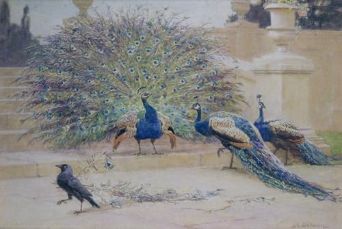 PMEFGJDPE Bekannt Poster Kunstdrucke Porträts Wandkunst die geliehene Feder von Charles Dollman Leinwand Ölgemälde für Heimtextilien 60x90cm von PMEFGJDPE