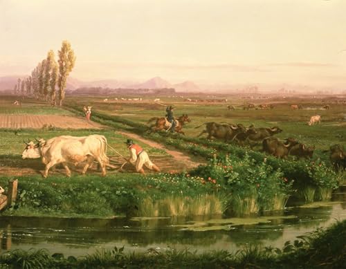 PMEFGJDPE Berühmte Gemälde Deko Kunstdrucke Bilder Tier Poster Ansicht von Carditello von Filippo Palizzi Abstrakte Leinwand Kunst für Wohnzimmerdekoration 60x90cm von PMEFGJDPE