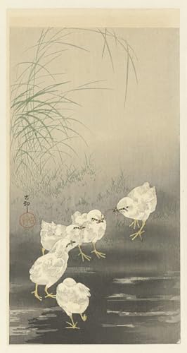 PMEFGJDPE Berühmte Gemälde Deko Kunstdrucke Bilder Tier Poster Rotmaskierter Kormoran auf einem Felsen von Ohara Koson Abstrakte Leinwand Kunst für Wohnzimmerdekoration 60x90cm von PMEFGJDPE