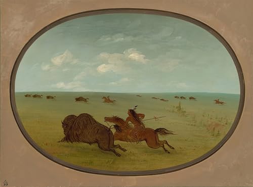 PMEFGJDPE Berühmte Gemälde Deko Kunstdrucke Bilder Tier Poster Sioux-Indianer Ober-Missouri von George Catlin Abstrakte Leinwand Kunst für Wohnzimmerdekoration 60x90cm von PMEFGJDPE