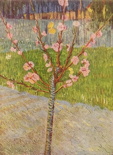 PMEFGJDPE Berühmte Gemälde Leinwand Wandkunst Malerei Wandkunst Boulevard de clichy von vincent van gogh Mode Leinwand Malerei für Office Home Decor 60x90cm PMEFGJDPE Berühmte Gemälde Leinwand Wandkunst Malerei Wandkunst Boulevard de clichy von vincent van gogh Mode Leinwand Malerei für Office Home Decor 60x90cm von PMEFGJDPE