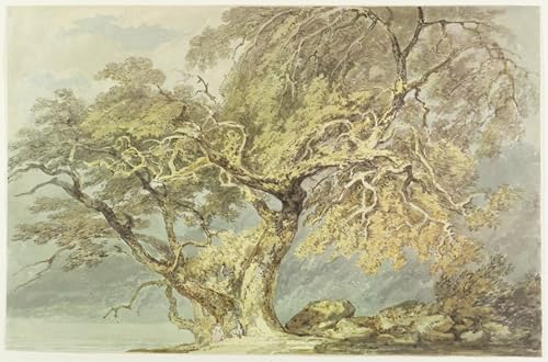 PMEFGJDPE Berühmte Gemälde Leinwand Wandkunst Malerei Wandkunst ein großer Baum von Mallord William Turner Mode Leinwand Malerei für Office Home Decor 60x90cm PMEFGJDPE Berühmte Gemälde Leinwand Wandkunst Malerei Wandkunst ein großer Baum von Mallord William Turner Mode Leinwand Malerei für Office Home Decor 60x90cm von PMEFGJDPE
