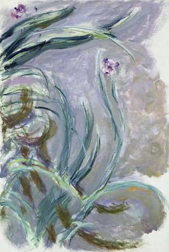 PMEFGJDPE Berühmte Gemälde Poster Kunstdrucke Porträts Wandkunst Iris Von Claude Monet Leinwand Ölgemälde für Heimtextilien 60x90cm PMEFGJDPE Berühmte Gemälde Poster Kunstdrucke Porträts Wandkunst Iris Von Claude Monet Leinwand Ölgemälde für Heimtextilien 60x90cm von PMEFGJDPE