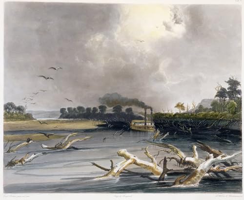 PMEFGJDPE Berühmte Gemälde Poster Kunstdrucke Porträts Wandkunst Snags on the Missouri von Karl Bodmer Leinwand Ölgemälde für Heimtextilien 60x90cm PMEFGJDPE Berühmte Gemälde Poster Kunstdrucke Porträts Wandkunst Snags on the Missouri von Karl Bodmer Leinwand Ölgemälde für Heimtextilien 60x90cm von PMEFGJDPE