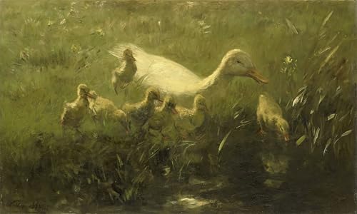 PMEFGJDPE Berühmte Gemälde Poster Kunstdrucke Porträts Wandkunst Witte Eend traf Kiekens Willem Maris Leinwand Ölgemälde für Heimtextilien 60x90cm PMEFGJDPE Berühmte Gemälde Poster Kunstdrucke Porträts Wandkunst Witte Eend traf Kiekens Willem Maris Leinwand Ölgemälde für Heimtextilien 60x90cm von PMEFGJDPE