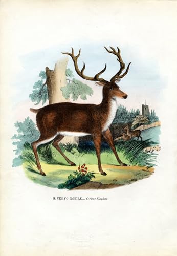PMEFGJDPE Berühmte Gemälde Poster Kunstdrucke Porträts Wandkunst der Graf von Coventry von Carlo Pellegrini Leinwand Ölgemälde für Heimtextilien 60x90cm PMEFGJDPE Berühmte Gemälde Poster Kunstdrucke Porträts Wandkunst der Graf von Coventry von Carlo Pellegrini Leinwand Ölgemälde für Heimtextilien 60x90cm von PMEFGJDPE