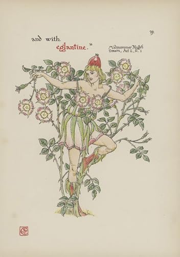 PMEFGJDPE Berühmte Gemälde Poster Wandbilder Gemalde Kunst Poster Blumen aus shakespeares garden von walter crane Vintage Leinwandkunst für Schlafzimmer Home Decor 60x90cm von PMEFGJDPE