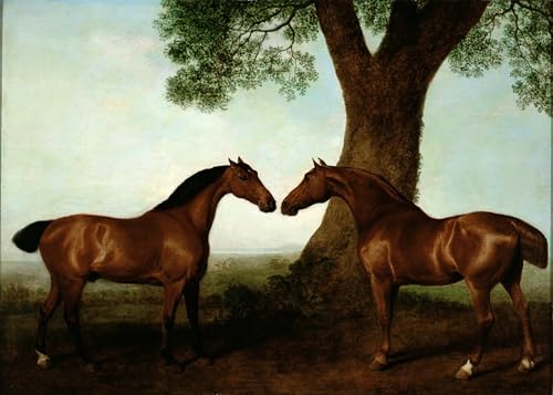 PMEFGJDPE Berühmte Gemälde Poster Wandbilder Gemalde Kunst Poster Two bay hunters by a tree von george stubbs Vintage Leinwandkunst für Schlafzimmer Home Decor 60x90cm PMEFGJDPE Berühmte Gemälde Poster Wandbilder Gemalde Kunst Poster Two bay hunters by a tree von george stubbs Vintage Leinwandkunst für Schlafzimmer Home Decor 60x90cm von PMEFGJDPE