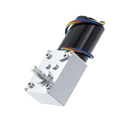 5840-3650 bürstenloser Reduktions-Schneckengetriebemotor 12 V/24 V Hohes Drehmoment Vorwärts- und Rückwärtsgang Einstellbare Geschwindigkeit 6 U/min ~ 470 U/min Gleichstrommotor(80RPM,24V Bracket Moto von PMZZHUPVR