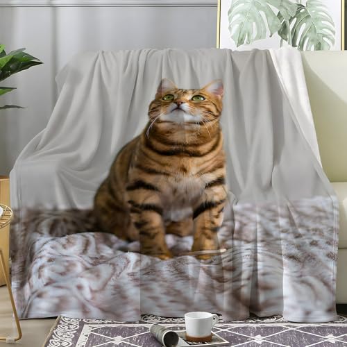 PNHCL Kuscheldecke Flauschig Decke Niedlich Aufblickendes Kätzchen - Katzenporträts Zimmer Deko Fleecedecke - Cozy Furry Flanell Wohndecke Ideal als Sofadecke oder Tagesdecke 120x200 A34 von PNHCL
