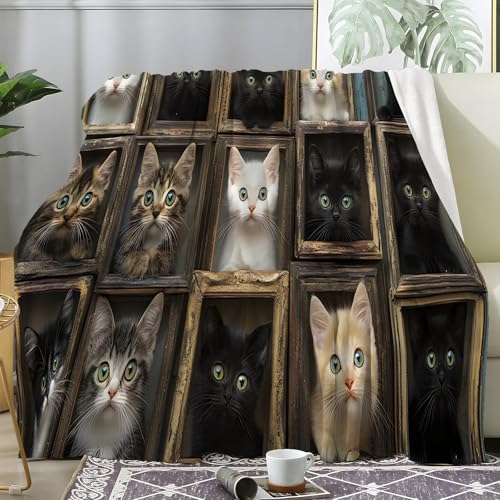 PNHCL Kuscheldecke Flauschig Decke Niedlich Gerahmtes Kätzchen - Katzenfamilienporträt Zimmer Deko Fleecedecke - Cozy Furry Flanell Wohndecke Ideal als Sofadecke oder Tagesdecke 160x220 A30 von PNHCL