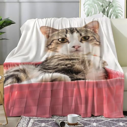 PNHCL Kuscheldecke Flauschig Decke Süß Getigerte Katze - Katzenfotos Zimmer Deko Fleecedecke - Cozy Furry Flanell Wohndecke Ideal als Sofadecke oder Tagesdecke 160x200 A07 PNHCL Kuscheldecke Flauschig Decke Süß Getigerte Katze - Katzenfotos Zimmer Deko Fleecedecke - Cozy Furry Flanell Wohndecke Ideal als Sofadecke oder Tagesdecke 160x200 A07 von PNHCL