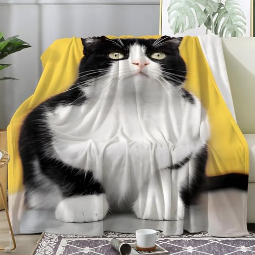 PNHCL Kuscheldecke Flauschig Decke Süß Kuhkatze - Katzenfotos Zimmer Deko Fleecedecke - Cozy Furry Flanell Wohndecke Ideal als Sofadecke oder Tagesdecke 120x200 A03 von PNHCL