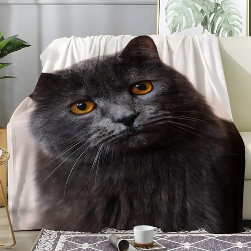 PNHCL Kuscheldecke Flauschig Decke Süß Schwarze Katze - Katzenfotos Zimmer Deko Fleecedecke - Cozy Furry Flanell Wohndecke Ideal als Sofadecke oder Tagesdecke 180x200 A05 PNHCL Kuscheldecke Flauschig Decke Süß Schwarze Katze - Katzenfotos Zimmer Deko Fleecedecke - Cozy Furry Flanell Wohndecke Ideal als Sofadecke oder Tagesdecke 180x200 A05 von PNHCL
