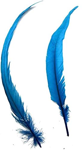 PNREJHT 100 STÜCKE Länge 30-35cm Buntes Färben Huhn Hahn Schwanzfedern Indien Haarschmuck Hochzeit Kleidung Kopfschmuck IF33-hellblau von PNREJHT