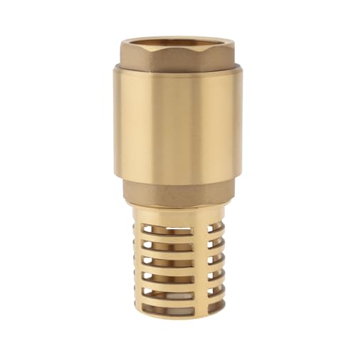 PNXKTXO 2.5 cm Messing Fußventil mit Filter Rückschlagfeder Vertikale Rückschlagventile Bodenventil für Wasserpumpe Verhindern Rückfluss Bewässerung Industrie DN25 PNXKTXO 2.5 cm Messing Fußventil mit Filter Rückschlagfeder Vertikale Rückschlagventile Bodenventil für Wasserpumpe Verhindern Rückfluss Bewässerung Industrie DN25 von PNXKTXO