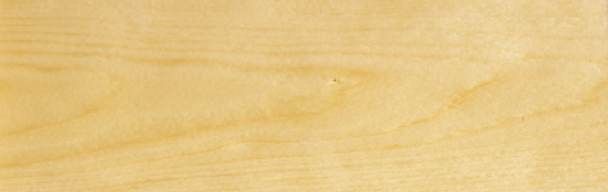 Holzdeckfarbe farblos - 0.75 Liter Holzdeckfarbe farblos - 0.75 Liter von PNZ