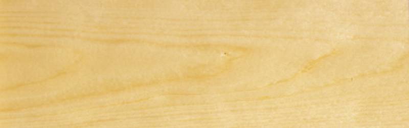 Holzdeckfarbe farblos - 10 Liter von PNZ