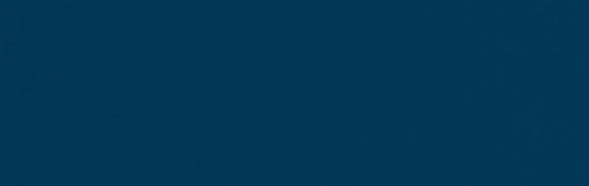 Holzdeckfarbe royalblau - 0.75 Liter Holzdeckfarbe royalblau - 0.75 Liter von PNZ