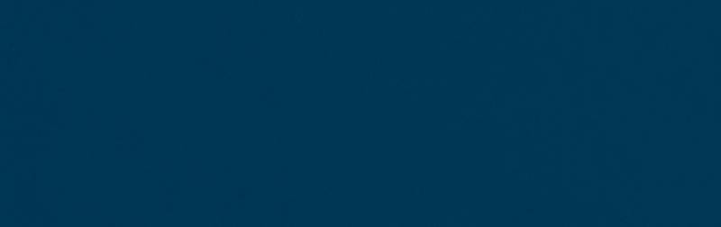 Holzdeckfarbe royalblau - 10 Liter von PNZ