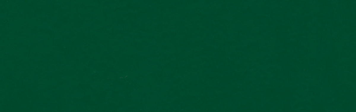 Holzdeckfarbe tannengrün - 0.25 Liter von PNZ