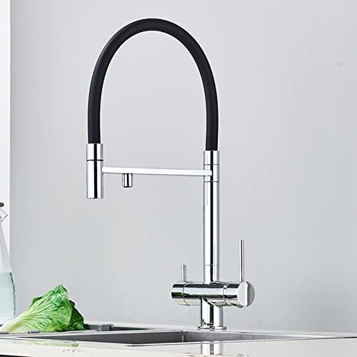 2 in 1 Küchenarmatur aus Messing mit ausziehbarem Auslauf und Wasserfilterreiniger 2 Griff Mischbatterie mit 360°Schwenkfunktion for die Spüle(Silver) von POADGBCN