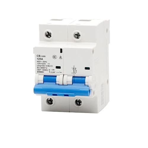 1 stücke CB-125G 2P 80A 100A 125A DC 125V/220V AC400V Leitungsschutzschalter MCB(100A) von POAHBCD