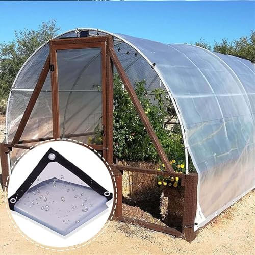 Transparente Plane Wasserdichtes Panel Gewächshausplane Verstärkte PE Kunststoffabdeckung Transparent Tragbar Gartengewächshaus (Color : Clear, Size : 3x2m) von POCHY