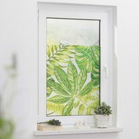 LICHTBLICK Fensterfolie Blätter grün B/L: ca. 50x100 cm von LICHTBLICK