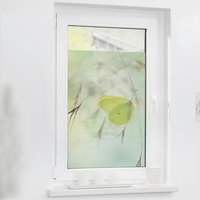 LICHTBLICK Fensterfolie Schmetterling grün B/L: ca. 50x100 cm von LICHTBLICK