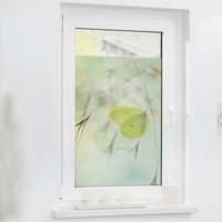 LICHTBLICK Fensterfolie Schmetterling Schmetterling Schmetterling grün B/L: ca. 50x100 cm von LICHTBLICK
