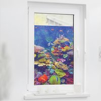 LICHTBLICK Fensterfolie Aquarium Meer Aquarium bunt B/L: ca. 100x100 cm von LICHTBLICK