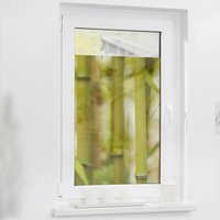 LICHTBLICK Fensterfolie Bambus Floral Bambus grün B/L: ca. 100x130 cm von LICHTBLICK
