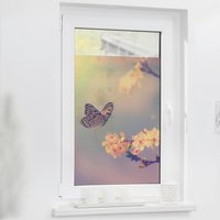 LICHTBLICK Fensterfolie Schmetterling orange B/L: ca. 100x100 cm von LICHTBLICK