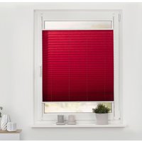 Spannplissee brombeer B/L: ca. 100x130 cm von LICHTBLICK