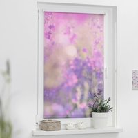 Verdunkelungsrollo Blumenwiese fuchsia B/L: ca. 80x150 cm von LICHTBLICK