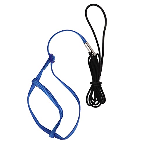Papageientraktionseil - Langable Nylon & Elastic -Leine, einstellbare Abbildung 8 Riemen, Bitprof -Haken -Design, tragbar für Gehbröche und kleine Haustiere, leichte Metallkette (Type 1) von PODSJD