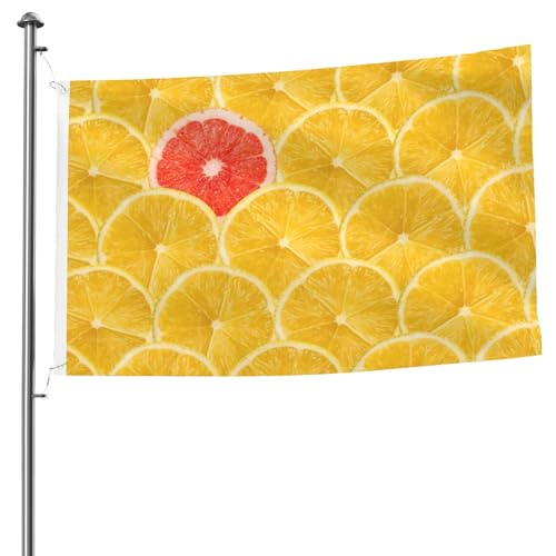 15,7 x 2,4 m große Flagge Sommer Zitrone bedruckte Gartenflagge Festival Zuhause Indoor Outdoor Ostern Dekoration Stoff 15,7 x 2,4 m große Flagge Sommer Zitrone bedruckte Gartenflagge Festival Zuhause Indoor Outdoor Ostern Dekoration Stoff von POKIKKJH