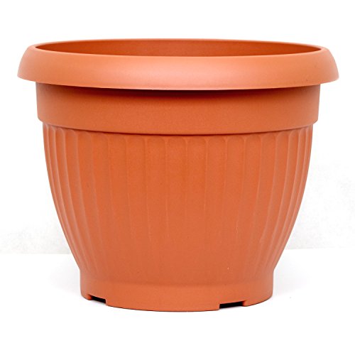 POKM Toolsmarket GmbH Blumentopf Blumenkübel Dona Ø30 cm Terracotta von POKM Toolsmarket GmbH