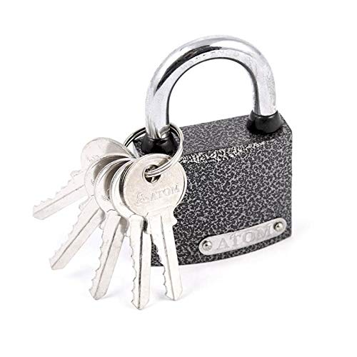 Vorhängeschloss mit 5 Schlüsseln Hangschloss Liebesschloss Grau 50 mm KZG50 von POKM Toolsmarket GmbH