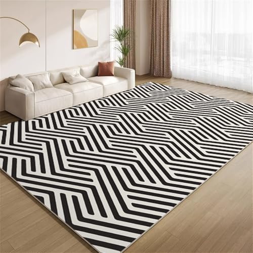 POKXAEU Moderne Minimalistische Kunst Teppich Funky Schwarz-Weiß-Streifen Eingangsbereich-Teppich rutschfest Fußmatte weich waschbar Bodenteppich für Wohnzimmer Innenbereich Flur Matten 60x90cm von POKXAEU
