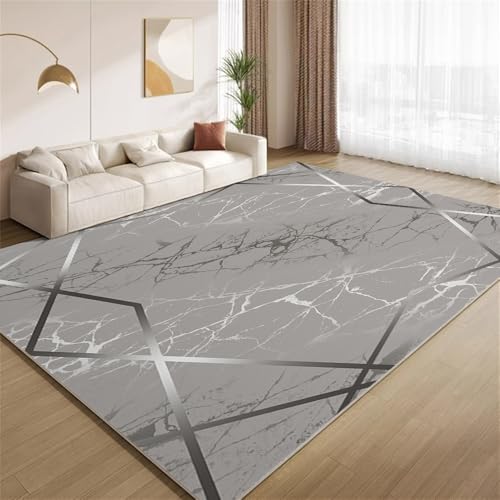 POKXAEU Silbergrauer Marmor Teppich Silberner Linienrand Wohnzimmer-Schlafzimmer-Teppich rutschfest Überwurfmatten waschbar Bodendekoration Matte für den Innenbereich Flur 90x150cm von POKXAEU