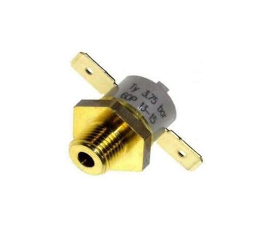 POLTI Druckschalter Ty 3,75 BAR 60P Vaporetto Vaporella Forever Lecoaspira FAV30 von POLTI