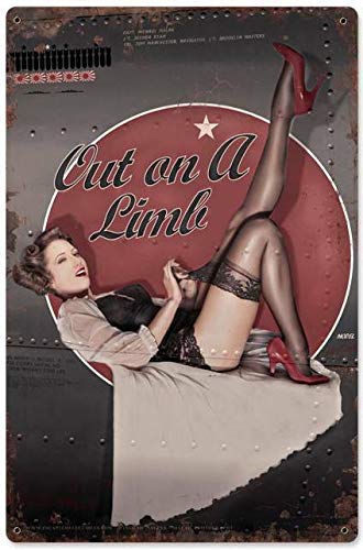 Metall-Blechschild im Vintage-Stil, 20,3 x 30,5 cm, Pin Up Girl, Militär, Luftfahrt, Nase, Kunst, Veteran, WWII Flugzeug, Metallblechschild, Zuhause, Küche, Café, Büro, Wanddekoration von POMOTER