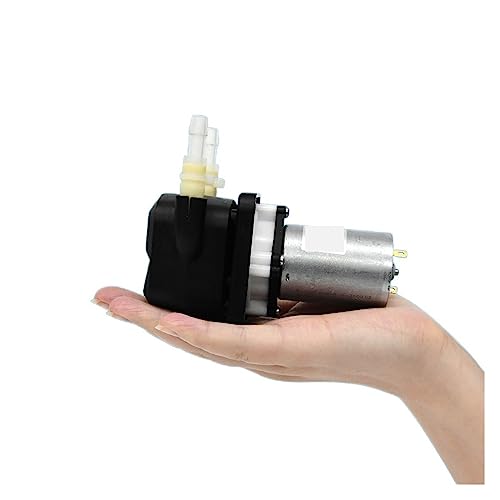KPHM600 Peristaltikpumpe 12 V 24 V 600 ml/min DC/BLDC-Motor Selbstansaugende Pumpe Kostengünstige Dosierpumpe mit Durchfluss und BPT ,Präzise Quantifizierung(Brush-SW(12V),B17 L) von POOIQX