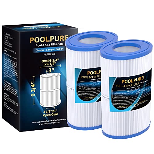 POOLPURE Ovaler Filter Spa-Filter PDM30 für Dream Maker Whirlpools 461269, 30 m², 2 Stück von POOLPURE