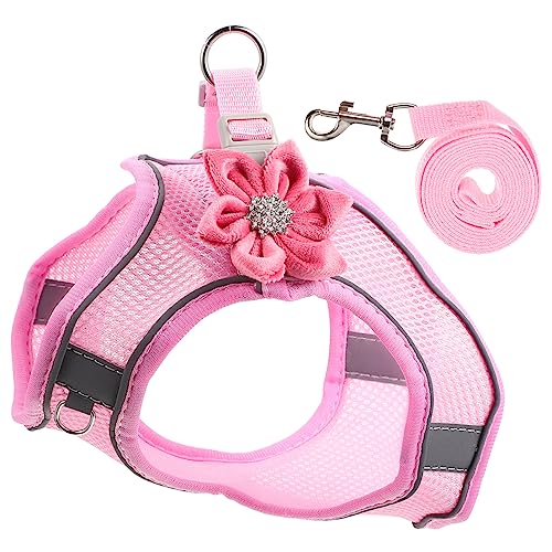 POPETPOP Mittelgroße Hundeweste Mit Verstellbarer Leine Reflektierende Weste Für Die Nacht 2-in-1-set Bequem Atmungsaktiv Haustierfreundlich POPETPOP Mittelgroße Hundeweste Mit Verstellbarer Leine Reflektierende Weste Für Die Nacht 2-in-1-set Bequem Atmungsaktiv Haustierfreundlich von POPETPOP